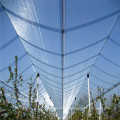 Protección contra las plantas Anti Hail Net / Invernadero Insect Proof Mesh / Productos agrícolas de plástico Anti-Bee Netting Price